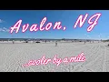Is Avalon New Jersey Worth Visiting Full Town Tour
