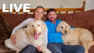 Live Drawing to Sail With Us!