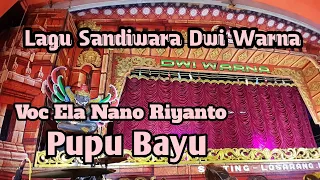 Download Lagu Sandiwara Dwi Warna || Pupu Bayu || Voc Ela Nano Riyanto MP3