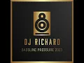 Download Lagu DJ Richard - Bassline Pressure 2023 - 3 Hours of the Best Speed Garage \u0026 Bass in the Mix