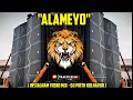 Download Lagu ALAMEYO CHO CHO🔊 ( INSTA TREND MIX ) DJ PRITH KOLHAPUR | DEEJAY SAMIRYA🦅