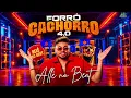 ALLÊ NO BEAT - FORRÓ CACHORRO 4.0 (MÚSICAS ATUALIZADAS)