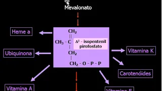 Bioquímica- Síntese de colesterol