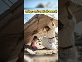 yeshua | love you jesus papa | jesus songs in hindi #jesus #shorts #shortvideo