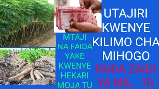pata zaidi ya mil 10 kwenye kilimo cha mihogo