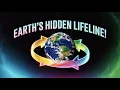 The Carbon Cycle Explained Why It Matters for Life