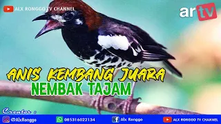 Download ANIS KEMBANG JUARA NEMBAK TAJAM MP3