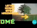 Canva Shorts 15 - Letter Mosaic effekt hasznalata