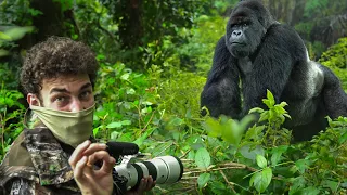 Download JOURNEY TO THE MOUNTAIN GORILLAS; UGANDA! MP3