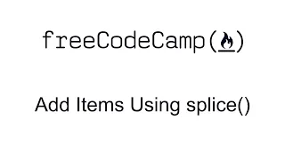 Add Items Using splice - Basic Data Structures