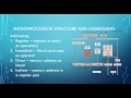 Intel 8085 Assembly Programming Part 1 Data Movement