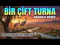 Psychedelic Remix - Bir Çift Turna Gördüm 