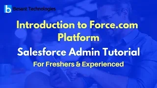 Salesforce Admin and Developer Course