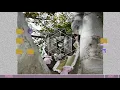 JPEGMAFIA - BasicBitchTearGas