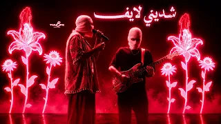                                         دندنها
