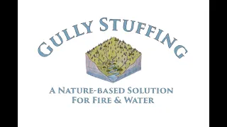 Introduction to Gully Stuffing A Nature-based Solution for Fire Water