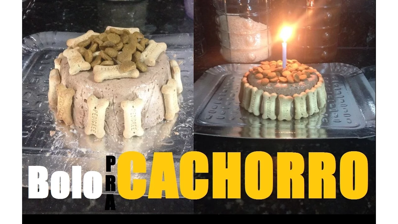 Como fazer bolo para cães