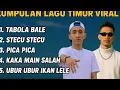 Download Lagu Tanpa Iklan !! Kumpulan Lagu Timur Viral 2025