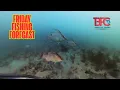 Tampa Bay Friday Fishing Forecast!