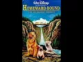 Download Lagu Opening to Homeward Bound the Incredible Journey 1995 VHS