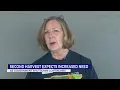 Second Harvest Food Bank expects needs to increase following government shutdown