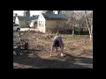 Florida Man