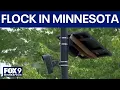 Minnesota Flock cameras have police departments undecided how to use them