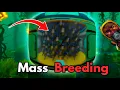 Download Lagu Mass Breeding Every FISH In SUBNAUTICA