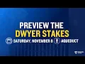 Preview the 200 000 Dwyer Stakes at Aqueduct