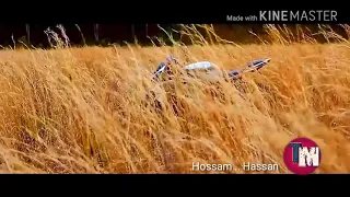 مهرجان سكة السلامه 