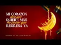 Los Primos del Este, Officialalex425 - Baby (Versión Norteña) (Video Lyric)