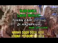 Download Lagu Karaoke Rohani || Tuhan Kami Datang Di Hadapan-Mu || Jekron Pono