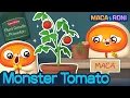 Lagu [MACA\u0026RONI] Tomato Monster | Macaandroni Channel