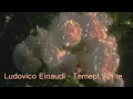 Ludovico Einaudi- Temple White & Experience.