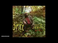 Richie Spice - Valley of Jehoshaphat (Red Hot) [VP Music Group] Release 2020