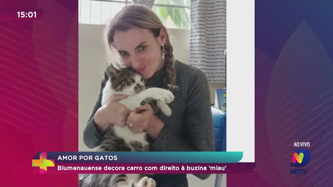 Amor por gatos: blumenauense decora carro com direito à buzina 'miau'