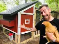 Best damn DIY Chicken Coop period