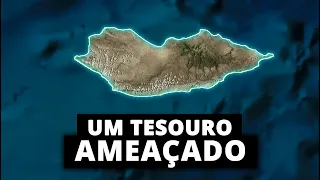 Por que Socotra é uma ilha condenada?