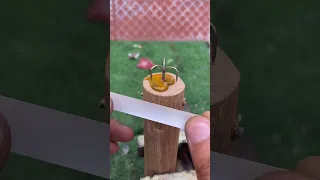 O Anzol Tem Um Segredo Que Poucos Pescadores Conhecem 