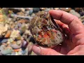 These 5 Useless Rocks Could Be Hiding Diamonds Opals Rare Gems