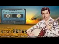 Neşet Ertaş - Yine Telli Turnam Yarelenmişsin