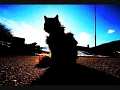 Mambika "The silhouette" boot : Solomun - The Center Will Not Hold with Alegra - Founder (Lexer rmx)