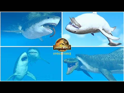 Download MP3 Megalodon All Animations \u0026 Social Interaction 🦖 Jurassic World Evolution 2, Park Managers Collection