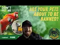 Are They Banning Exotic Pets In Scotland Don t Pet Me - The Arthropod Episode 3