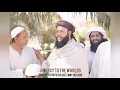 Download Lagu Law Kana Bainanal Habib - لو كان بيننا الحبيب (no music)