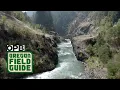 Download Lagu The White Salmon River after Condit dam | Oregon Field Guide