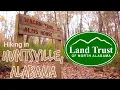 Walking Through a Nature Trail - Monte Sano Land Trust of Huntsville AL