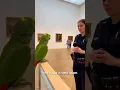 Download Lagu “Lady Officer Proposes at Museum, Parrot Delivers Savage NO 🦜😂 #ParrotComedy #PoliceHumor #Shorts” MP3