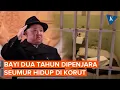 Download Lagu Bayi 2 Tahun di Korea Utara Dipenjara Seumur Hidup karena Orang Tuanya Punya Kitab Suci