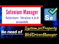 Use of Selenium Manager to download driver binaries automatically Alternative to WebDriverManager